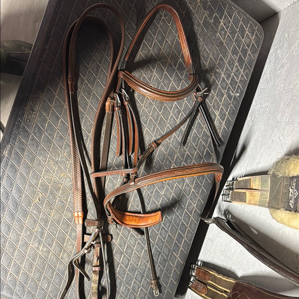 Bridle